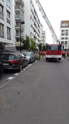 20160717_083546.jpg